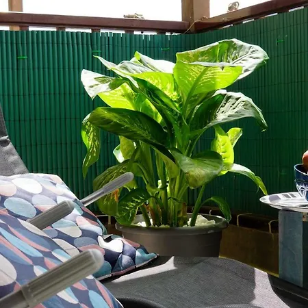 Appartement Costa Del Silencio Коста-дель-Силенцио